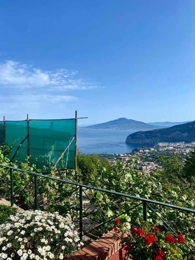 Villa Monica B&B Sorrento Eksteriør bilde