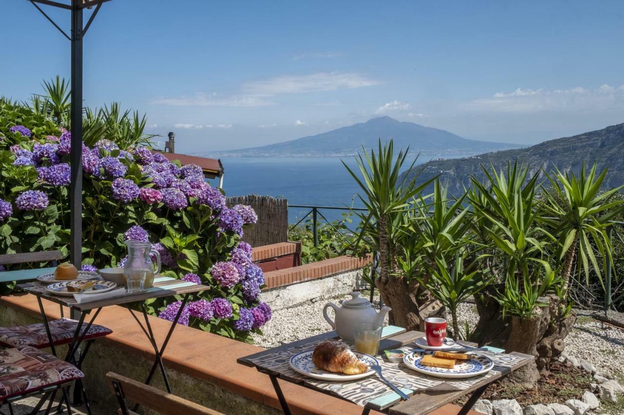 Villa Monica B&B Sorrento Eksteriør bilde
